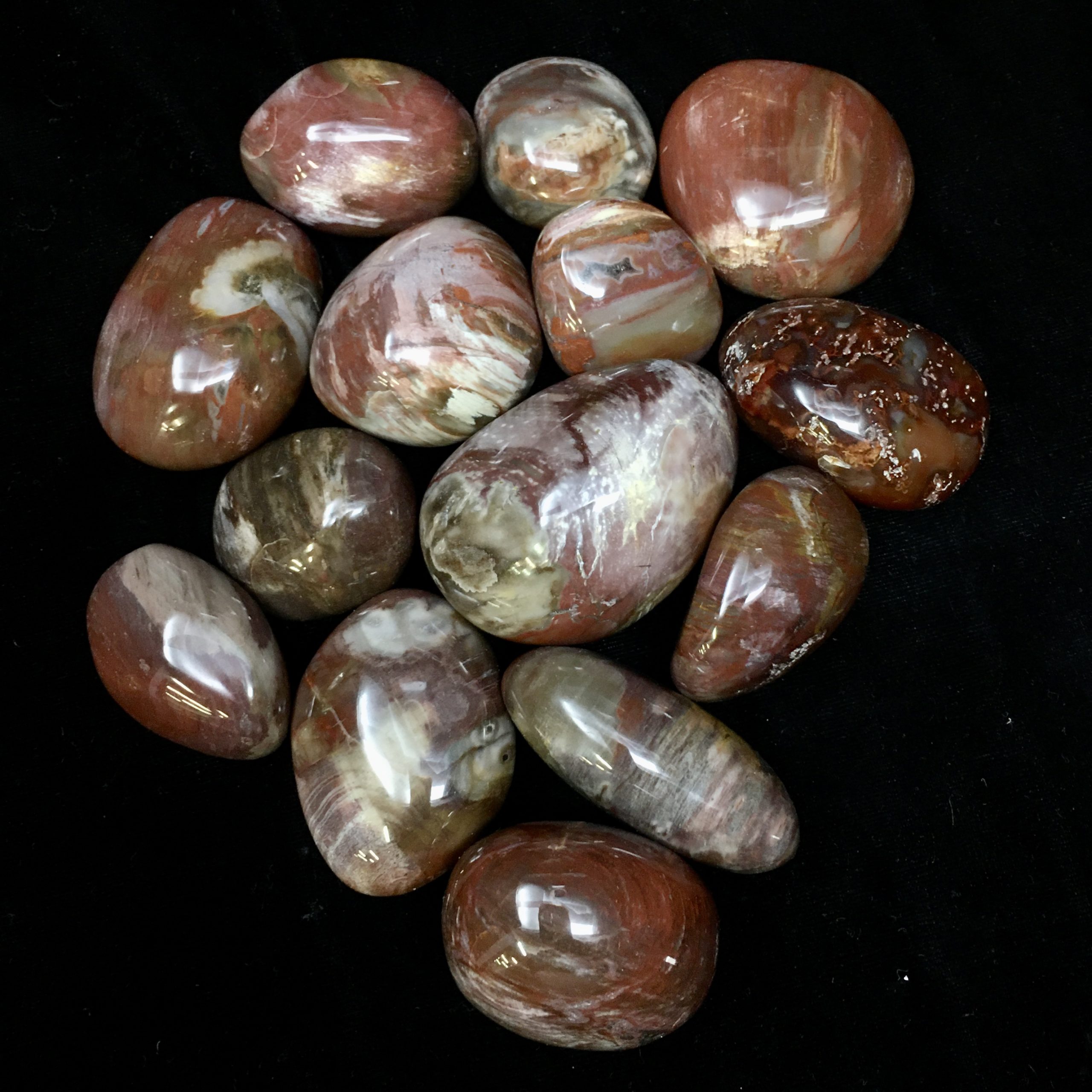 Petrified Wood Gallet