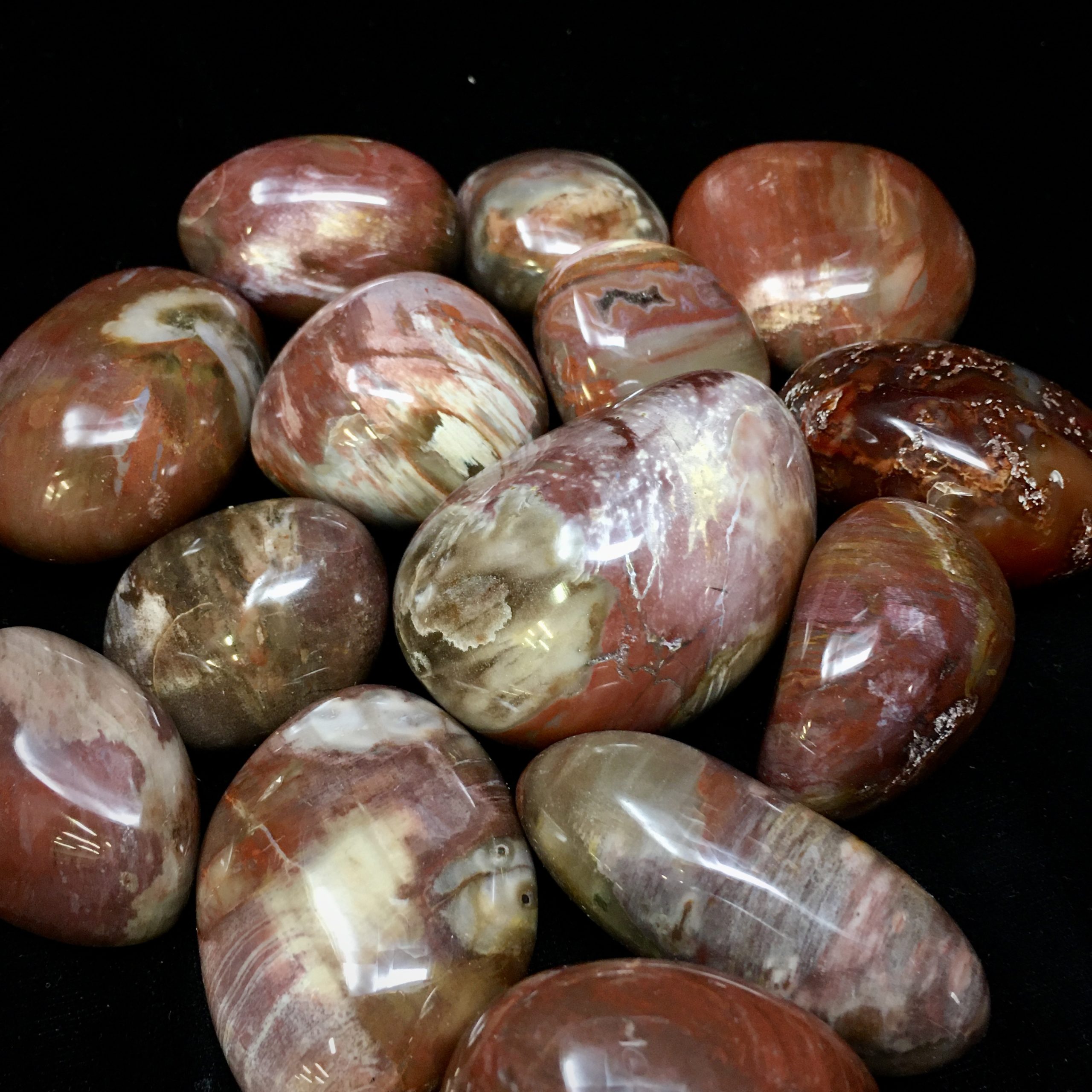 Petrified Wood Gallet - Image 3