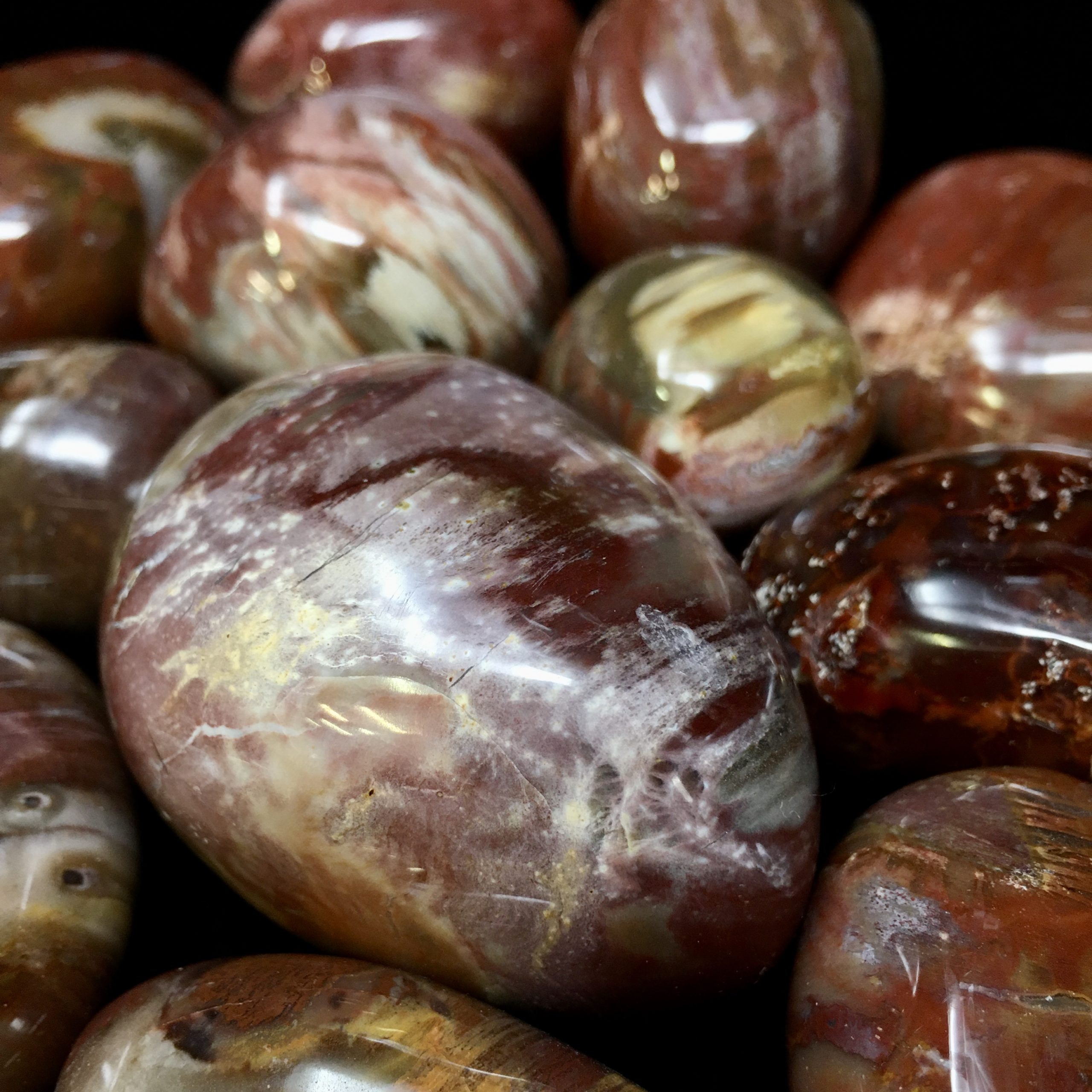 Petrified Wood Gallet - Image 2