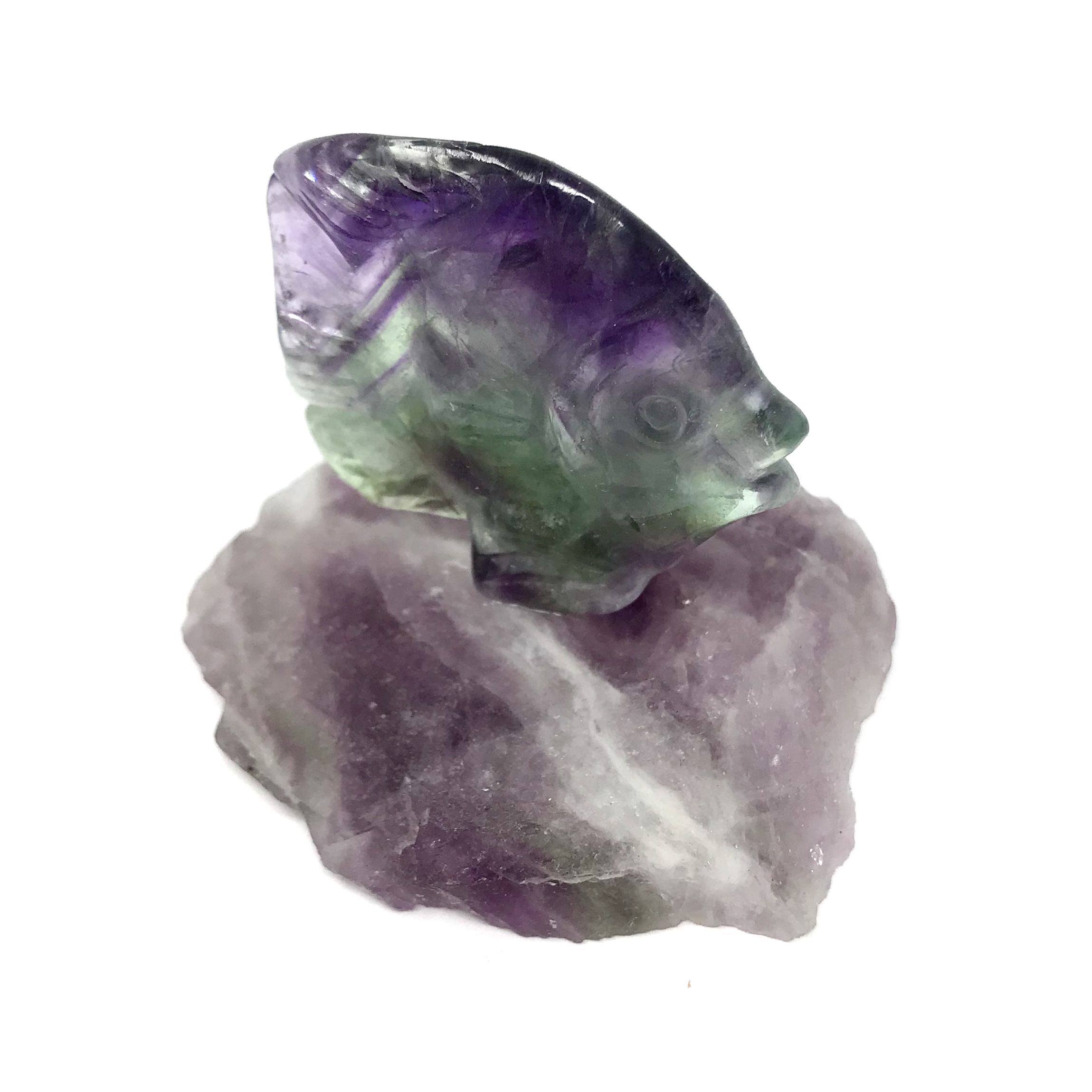 Fluorite Fish Freestanding - Image 3