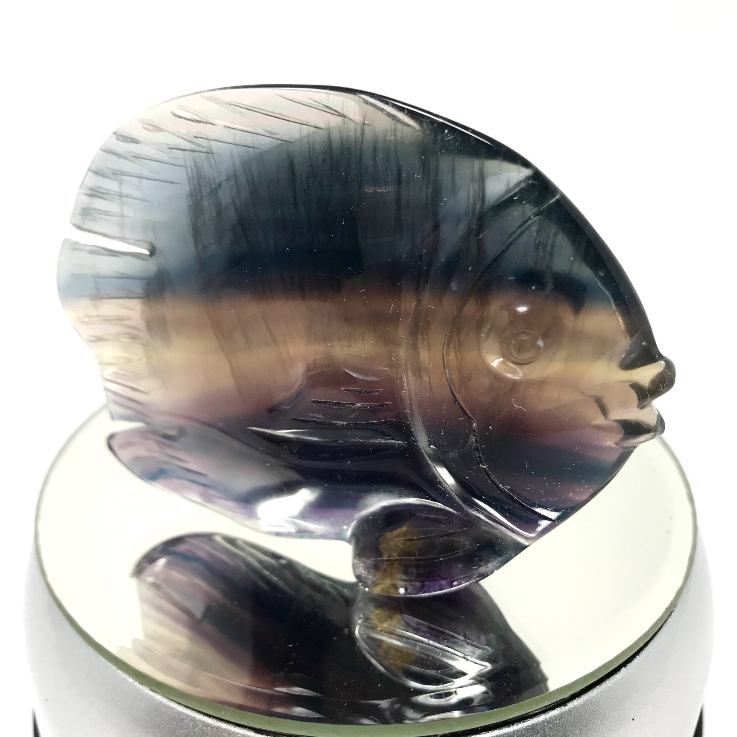Fluorite Fish Freestanding - Image 4