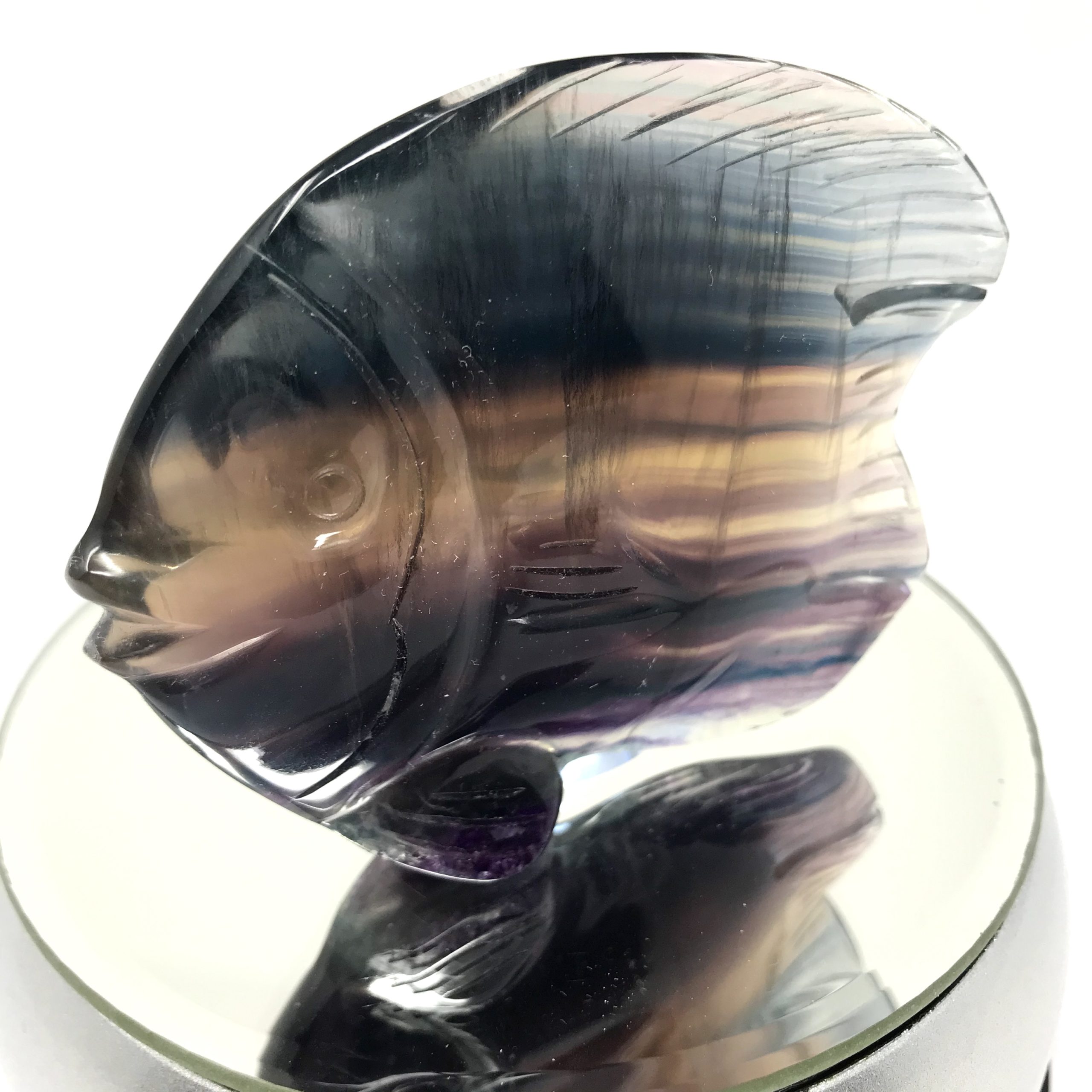 Fluorite Fish Freestanding - Image 5