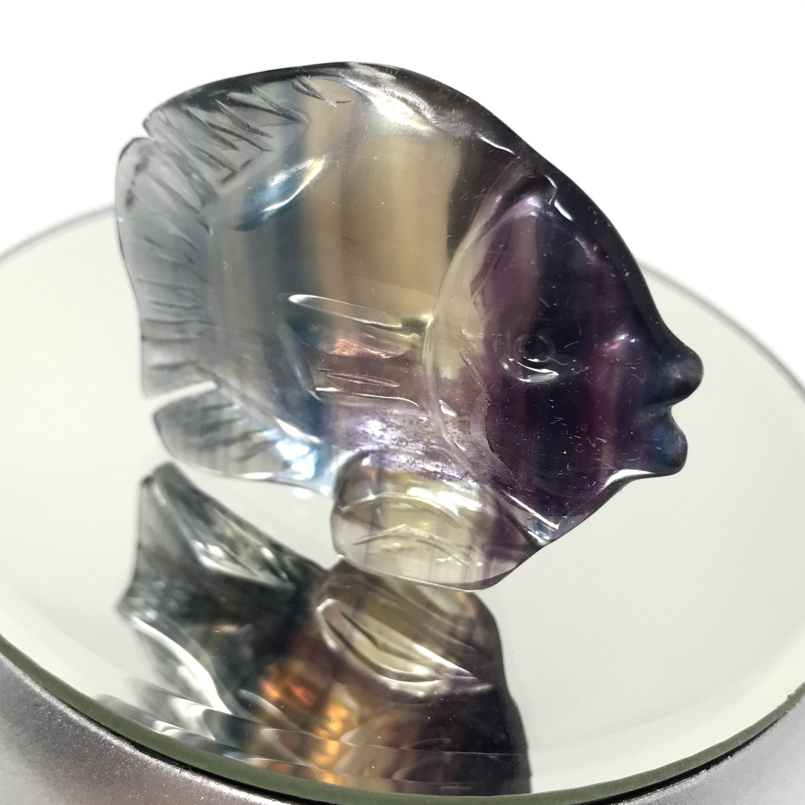 Fluorite Fish Freestanding - Image 6