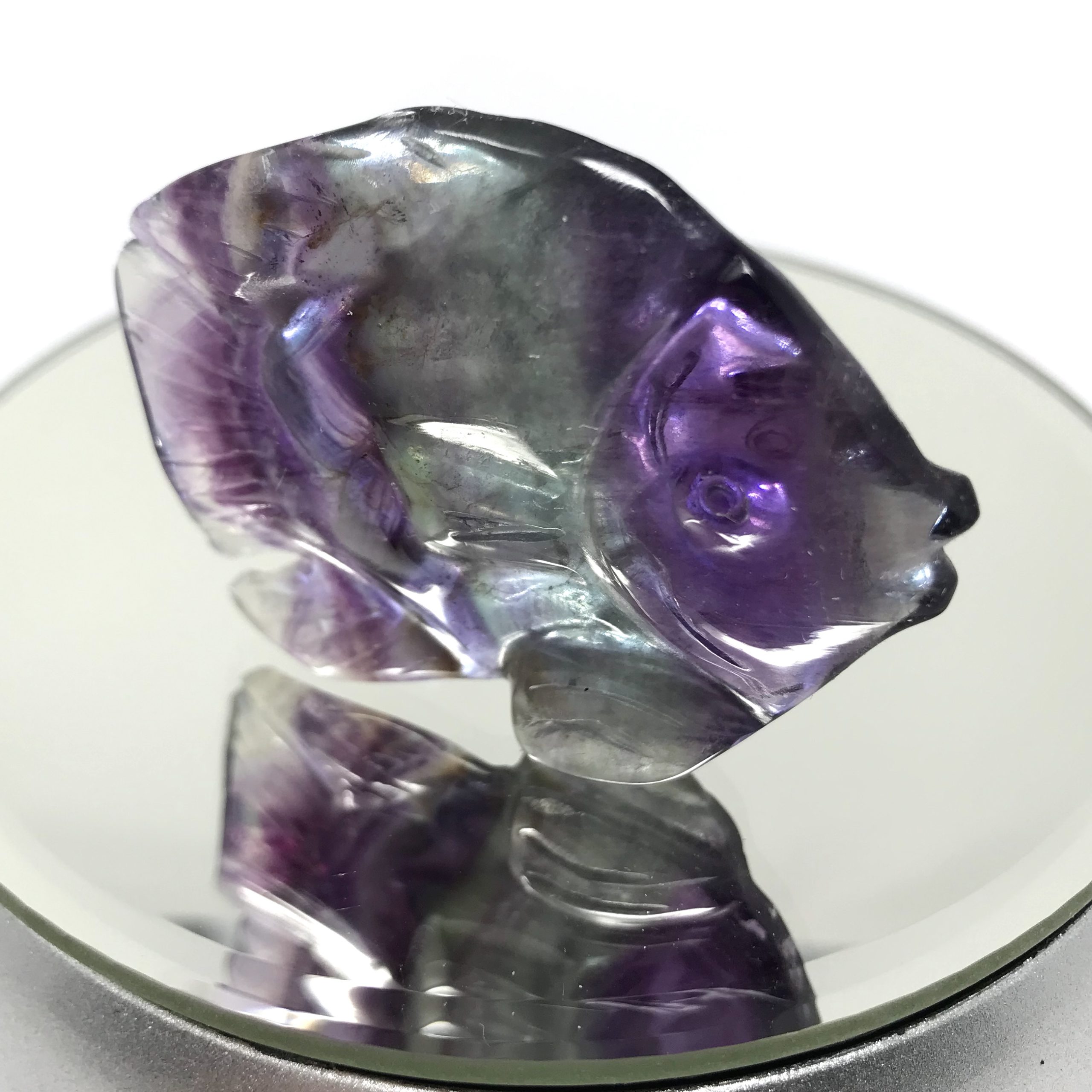 Fluorite Fish Freestanding - Image 7