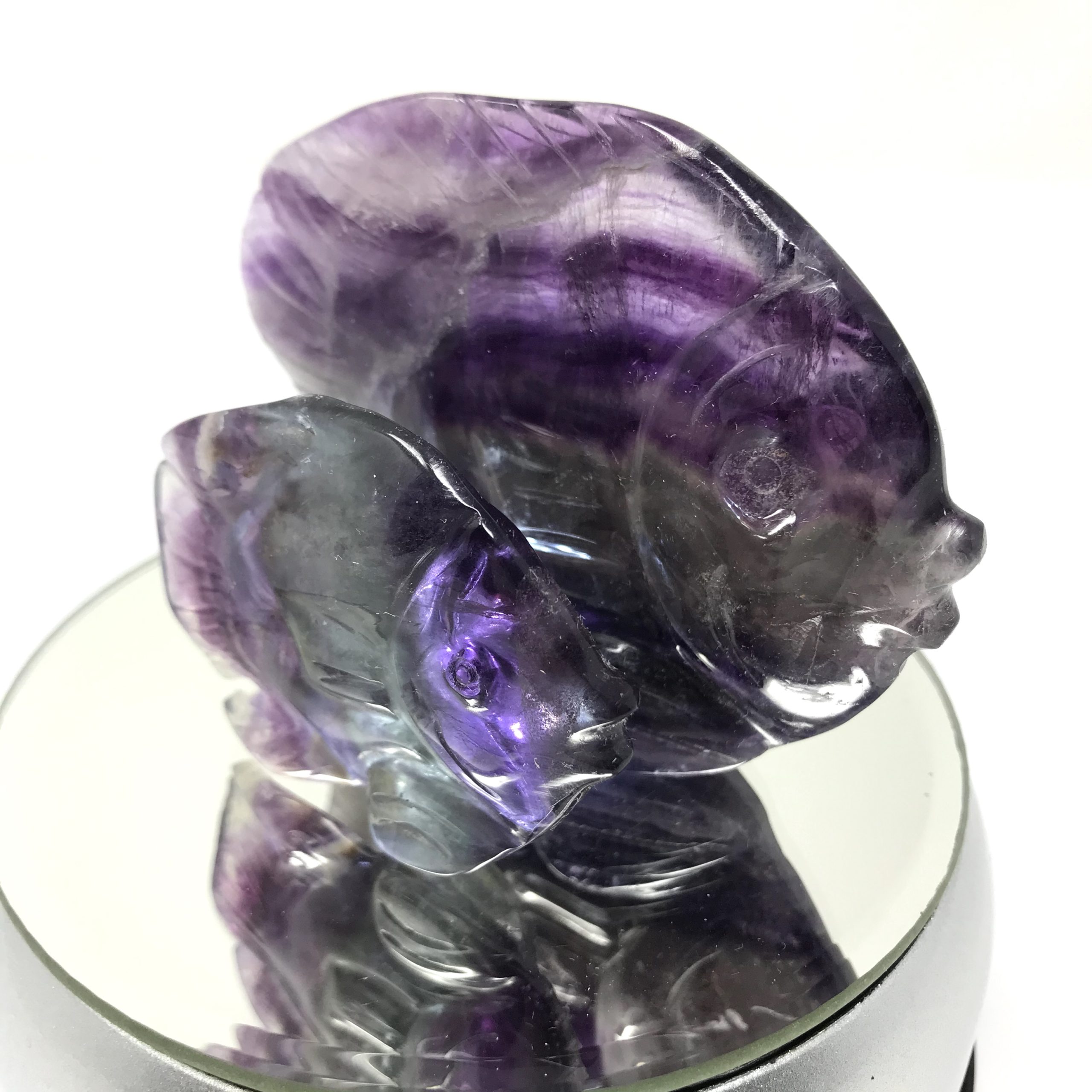 Fluorite Fish Freestanding - Image 2