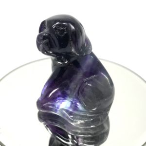 Fluorite Dog