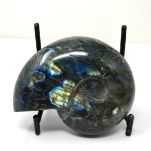 Labradorite Ammonite Carving
