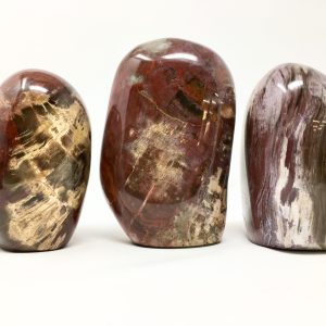 Petrified Wood Free Form