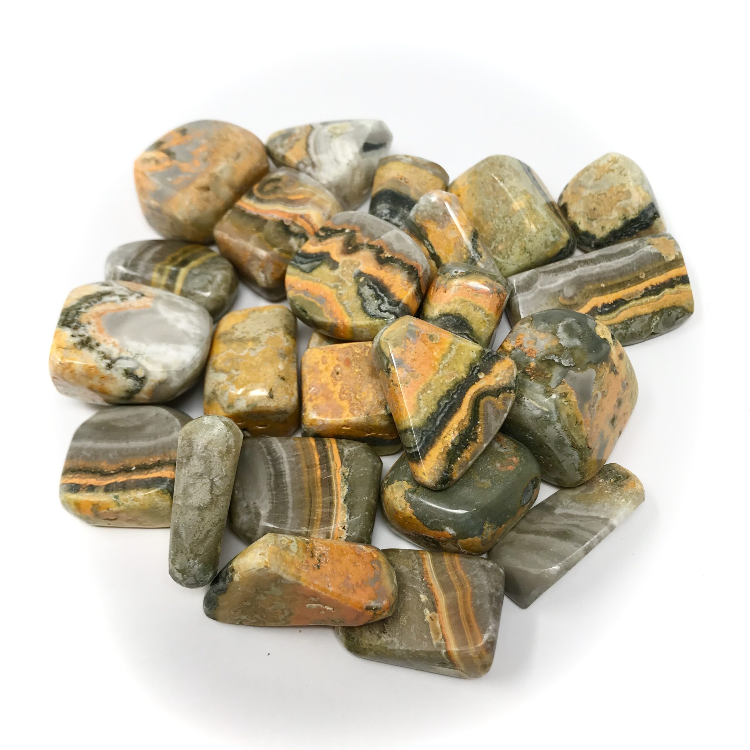 Bumblebee Jasper Tumble