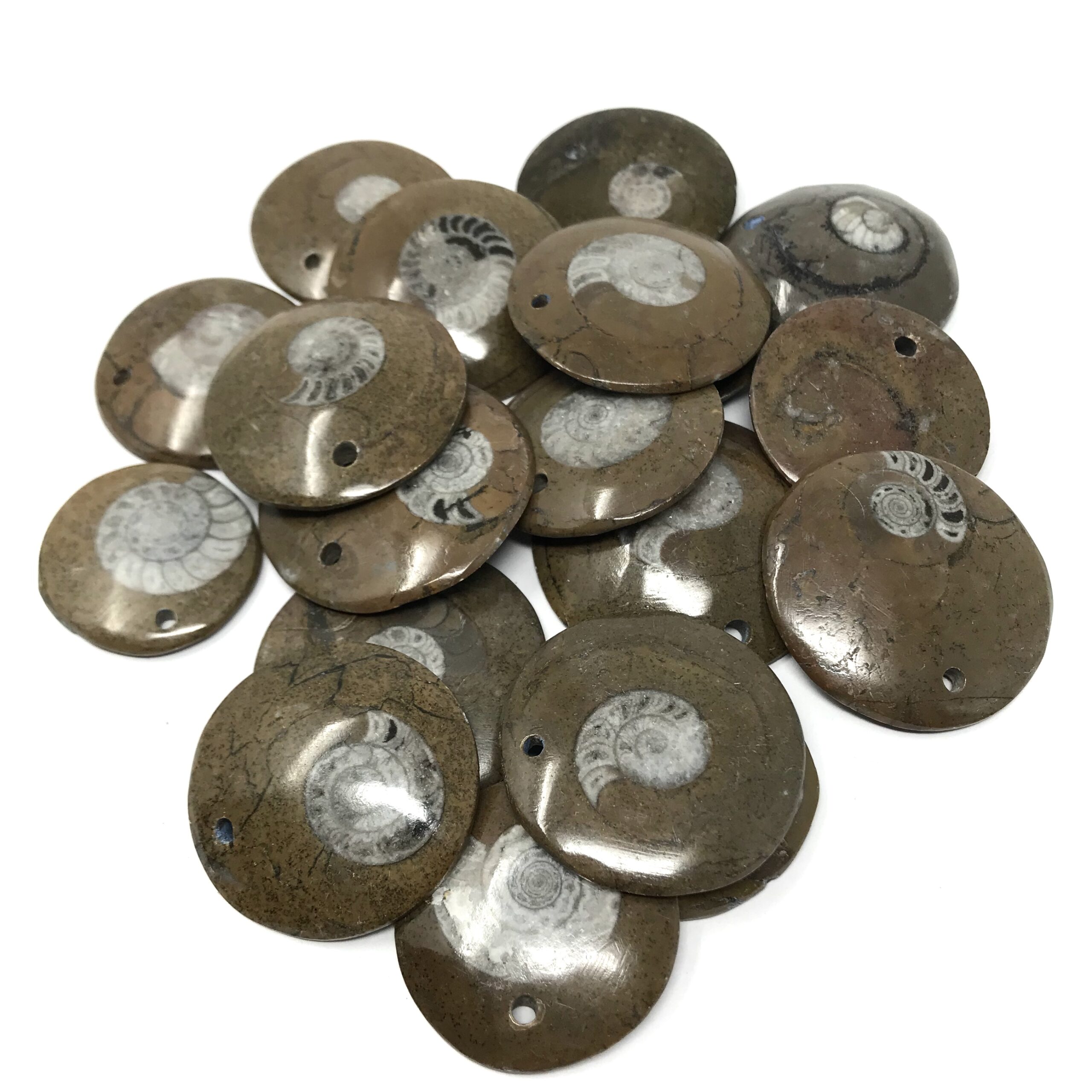 Ammonite Fossil Pendant