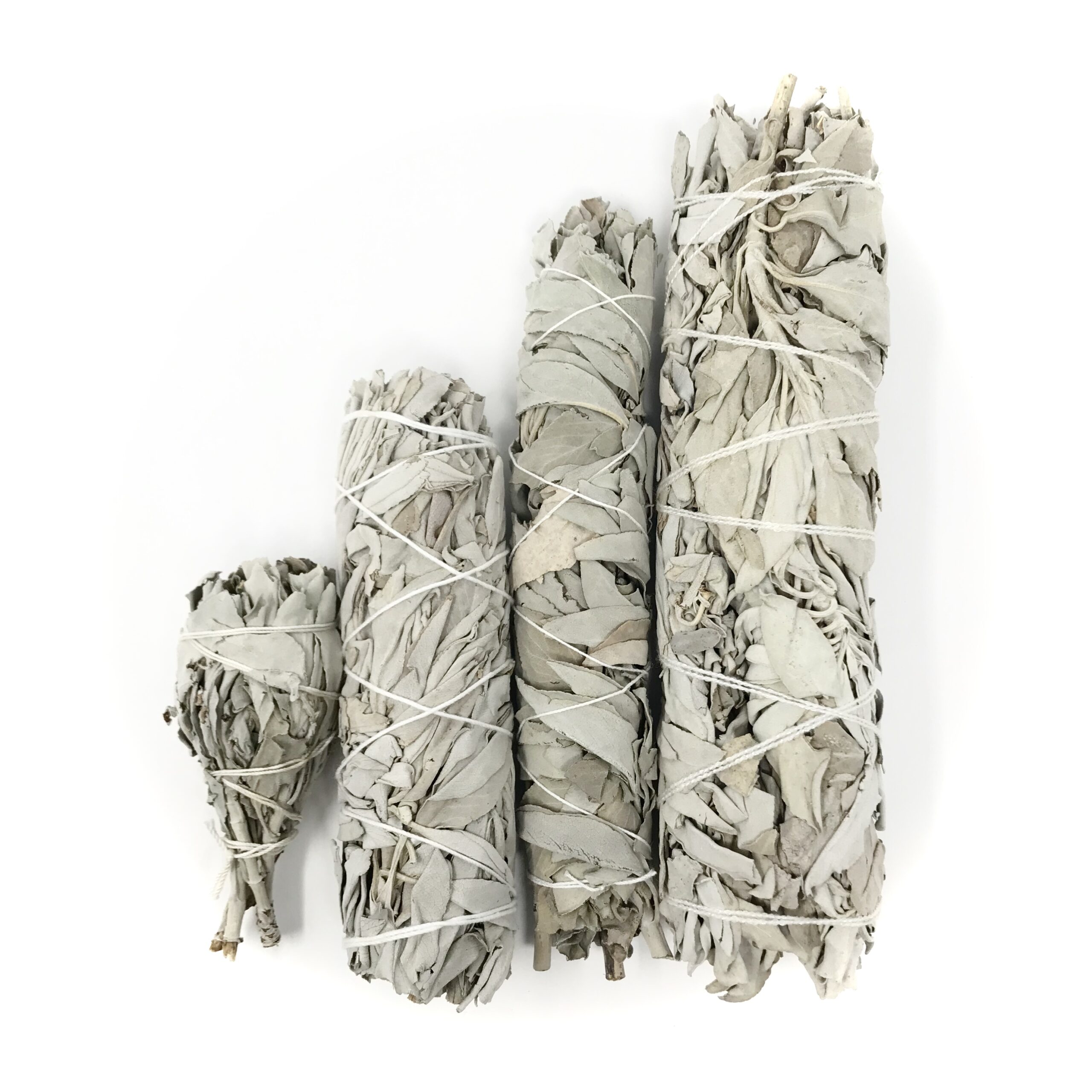 White Sage Smudge Stick