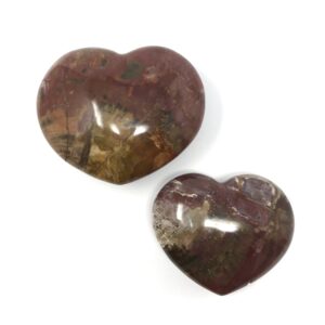 Petrified Wood Heart